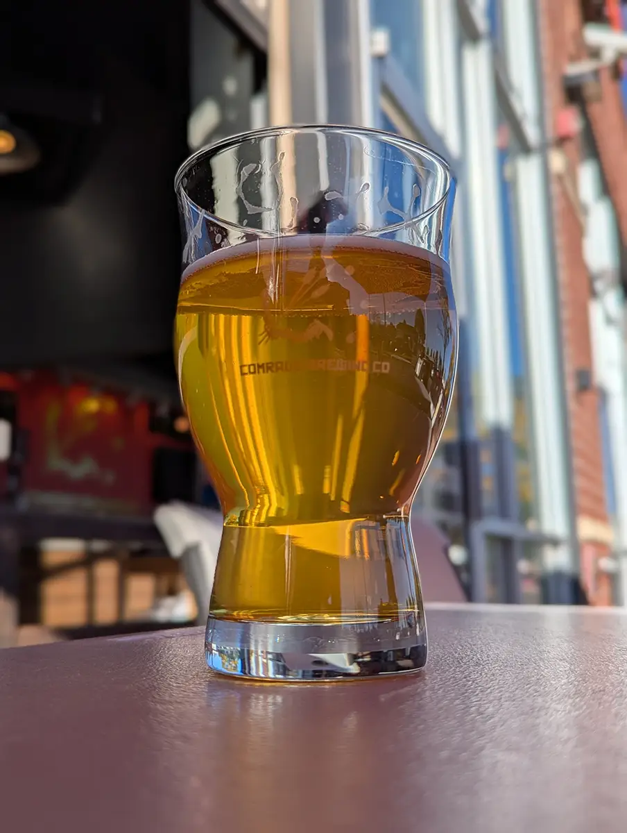 Superdamp Fresh Hop IPA from Comrade Brewing